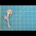 KRAMER Брошь винтажная "Белая орхидея" KRAMER Брошь винтажная "Белая орхидея"