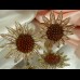 SARAH COVENTRY Комплект винтажный - Брошь и клипсы "Ромашки" SARAH COVENTRY Комплект винтажный - Брошь и клипсы "Ромашки"